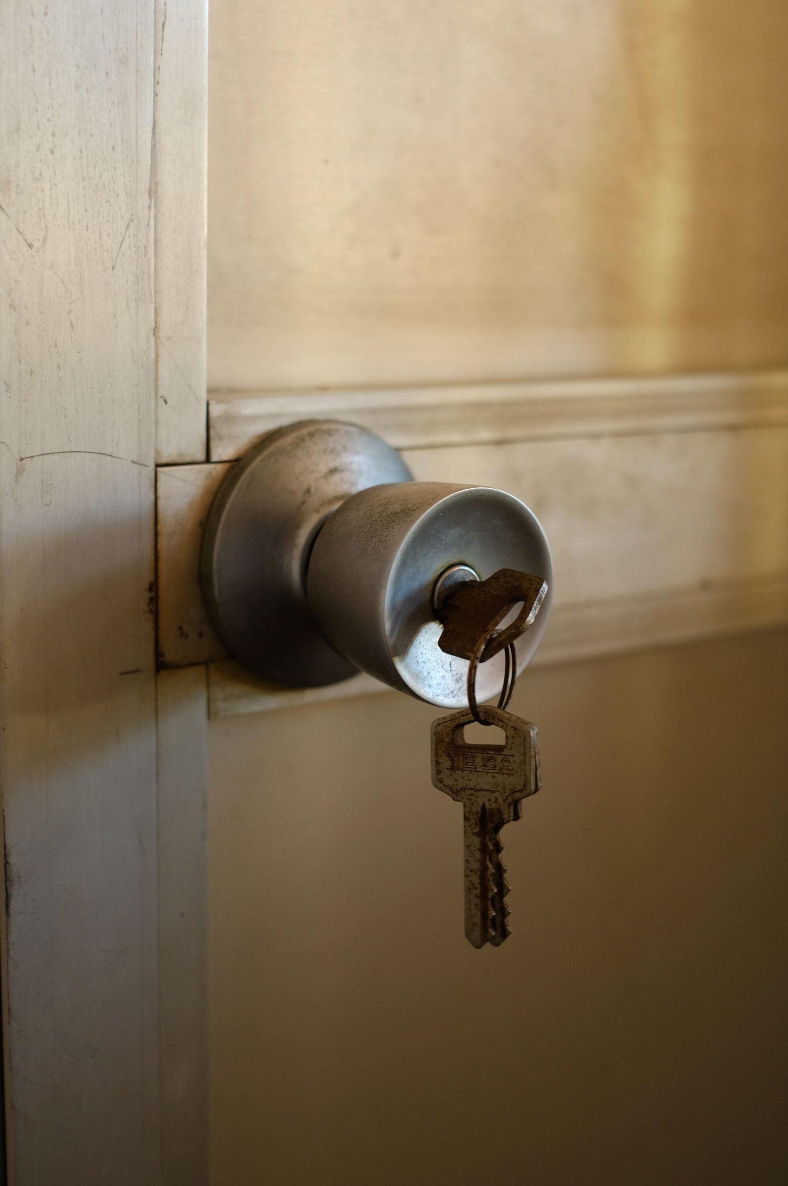 Emergency locksmith in Tuscaloosa, AL unlocking a residential door